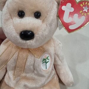 Ty Beanie Baby Bear Plush